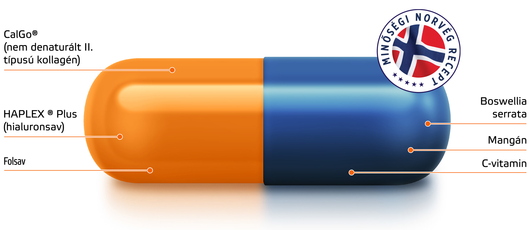 Natural Pharmaceuticals Movisan™ Collagen II Kétdarabos kapszula CalGo® kollagénnel, hyaluronsavval, folsavval, Boswellia serratával, mangánnal és C-vitaminnal, norvég recept alapján.
